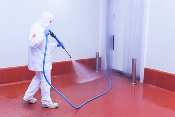 Best Warehouse Cleaning  in Victorville, CA